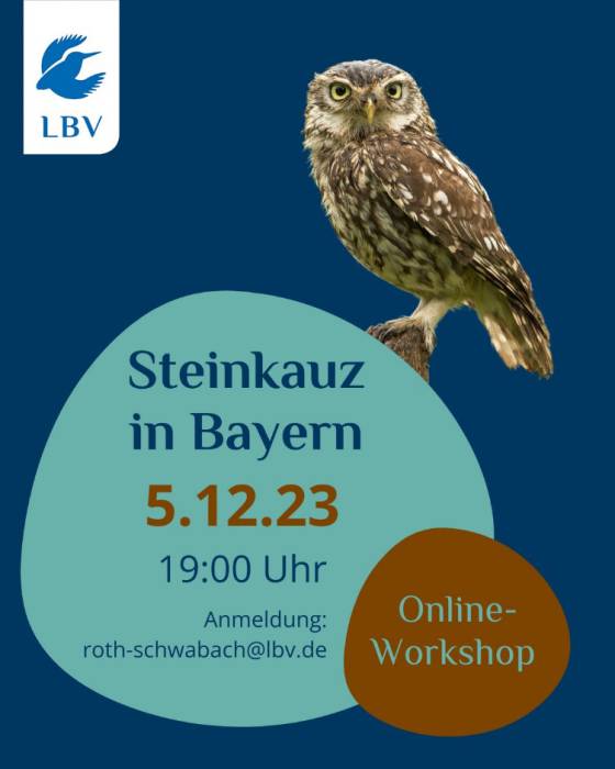 steinkauz-workshop.jpg steinkauz-workshop.jpg