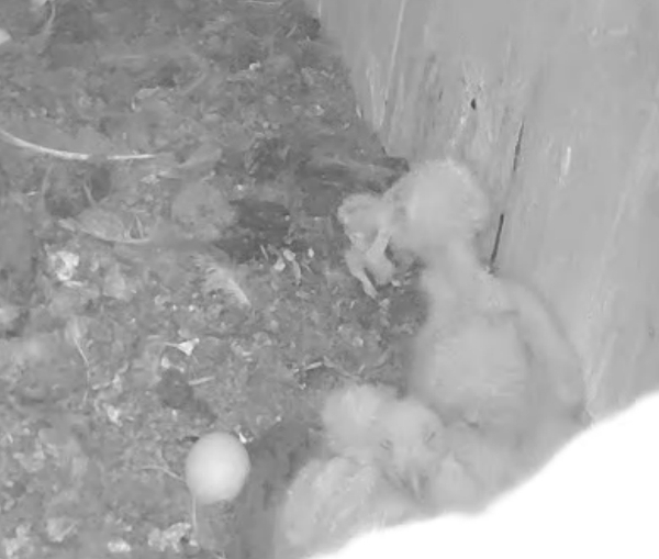 12092016.jpg 12092016.jpg