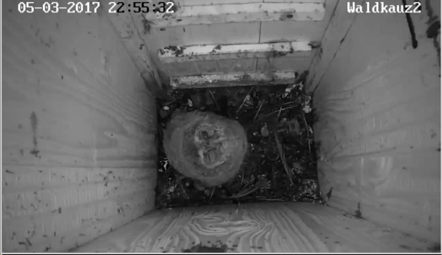 augenproblem.png augenproblem.png