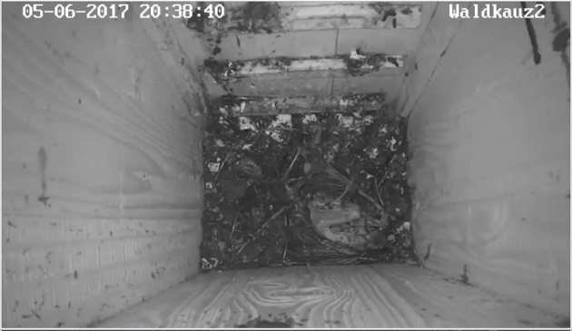 die_traurigenreste-2-bearbeitet.png die_traurigenreste-2-bearbeitet.png