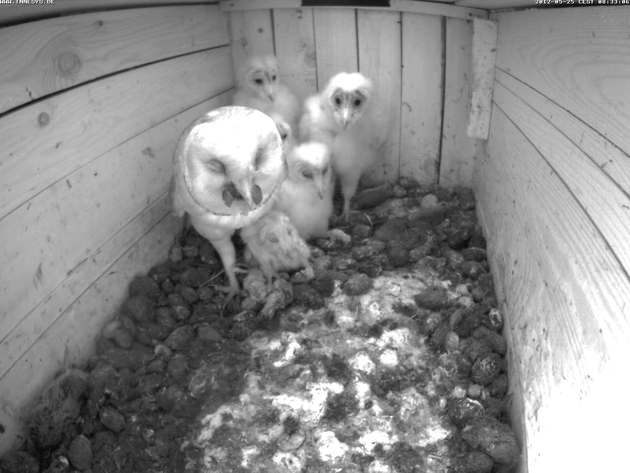 120525-08-33-06708-630.jpg 120525-08-33-06708-630.jpg