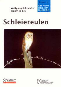 Schleiereule (Tyto alba guttata)<br>auf der Ansitzwarte. Aufnahme<br>aus Mittelsachsen.<br>Aufnahme B. HARTUNG