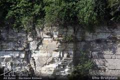 Brutnische eines Uhus in der Felswand