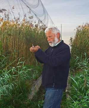 Ernst Kniprath an einer Vogelfanganlage in Ventes Ragas / Litauen (Foto: Susanne Stier-Kniprath)] 